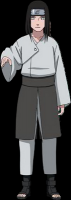 /album/neji-hyuga/bio-neji-a-png/